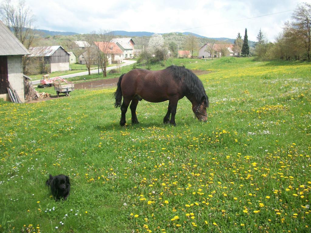 Farm stay House Veljko Vrhovine
