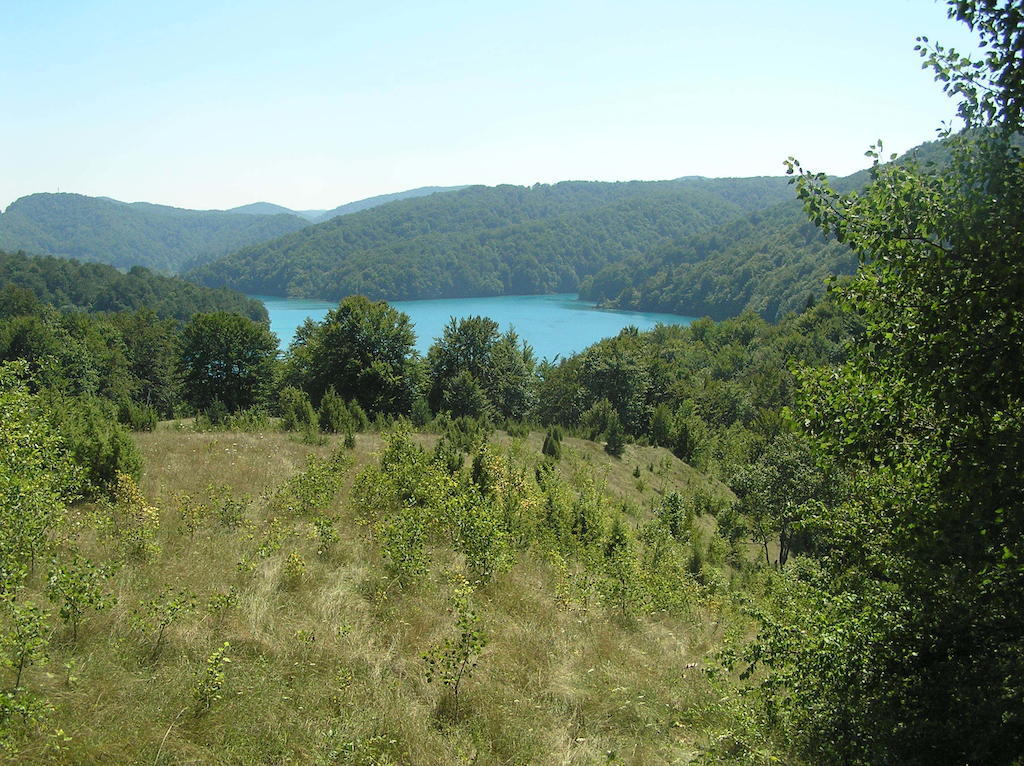 Farm stay House Veljko *