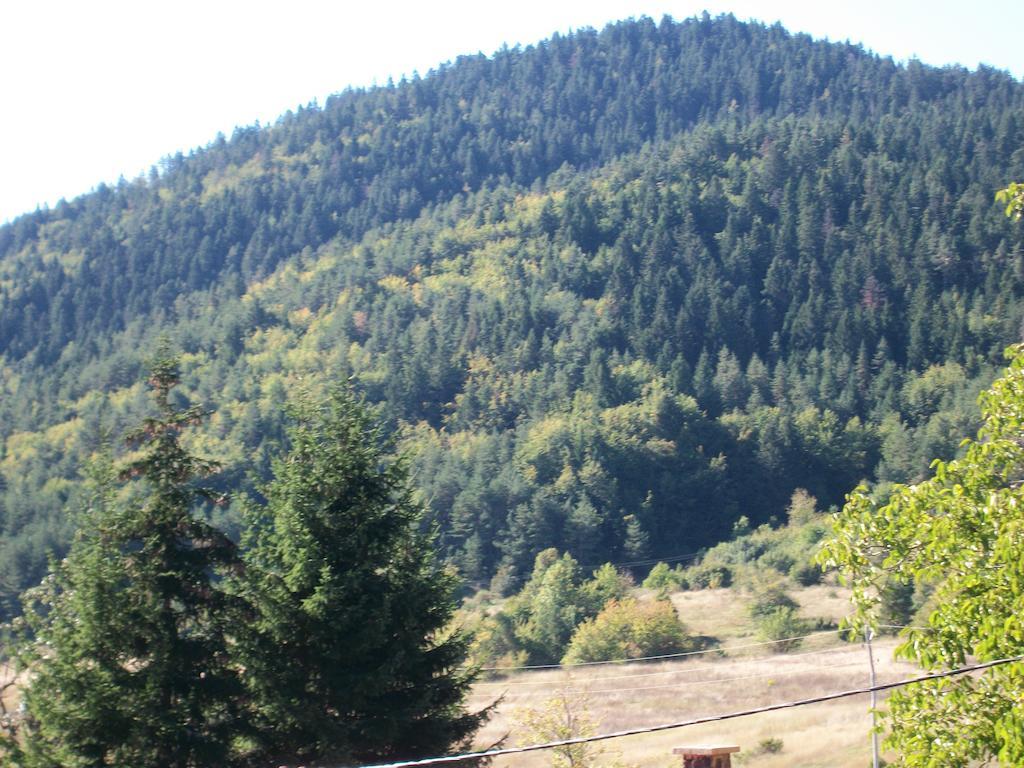 Farm stay House Veljko Vrhovine