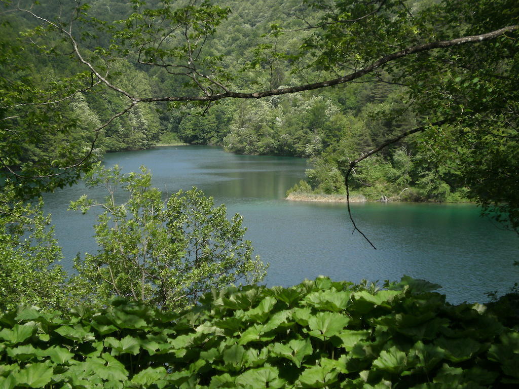 House Veljko * Vrhovine