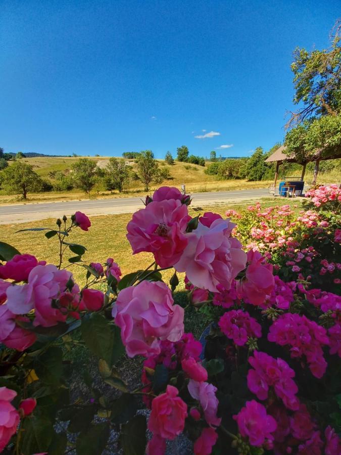 House Veljko Farm stay Vrhovine