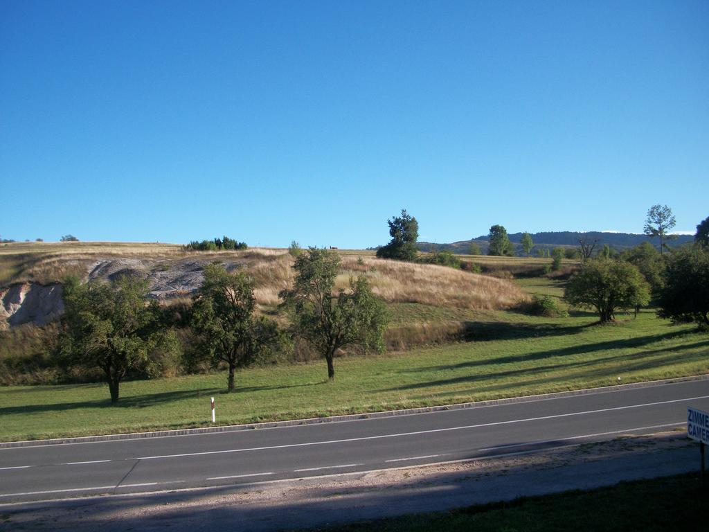 House Veljko Farm stay