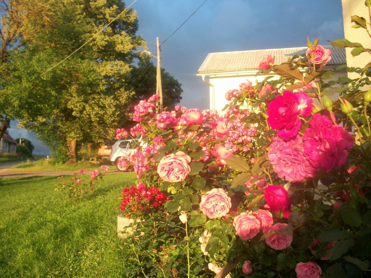 House Veljko * Vrhovine