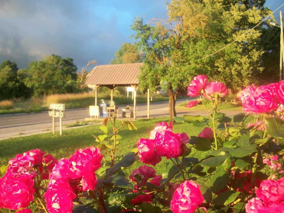 House Veljko Farm stay Vrhovine