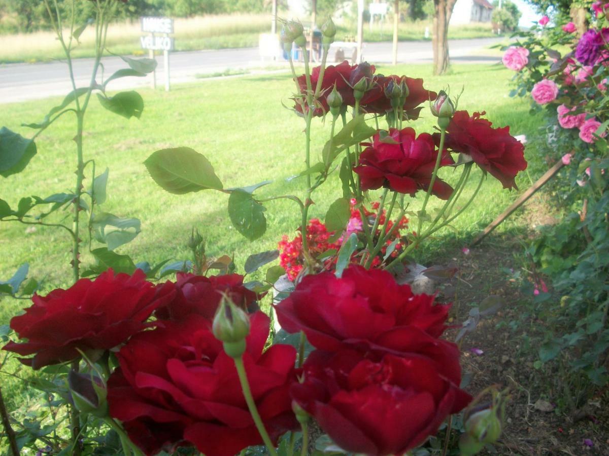 Farm stay House Veljko Vrhovine